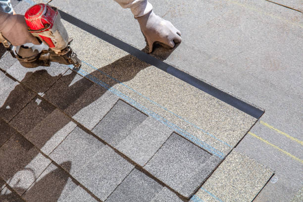 Best Roof Maintenance Services  in Scissors, TX
